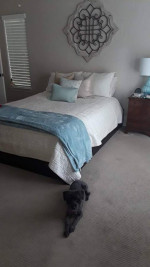 HOUSE CLEANING 🏠 AFFORDABLE MAID (HOUSTON,RICHMOND,SUGARLAND,KATY)