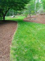 MULCH and PINE STRAW installation yard cleaning and trimming