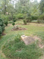 MULCH and PINE STRAW installation yard cleaning and trimming