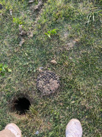 $100 drain cleaning/ plumber
