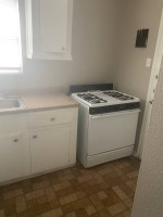 🌸🌸$45+cleaning downtown/nearby move out Airbnb, deep, clean and more!🌸