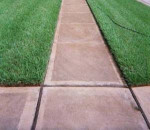 Affordable Lawn mowing, Yard cleaning, Tree work, bush clearance, etc