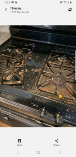 PROFECIONAL CLEANING SERVICES