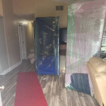 DON'T PACK THE CAT MOVING Call 2106857663