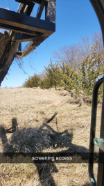treespade for moving trees, forestry mulching, brush mowing