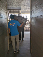 Moving company in Fort Collins.
