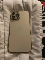 iPhone 13pro max