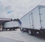 Hernandez Moving 919 LLC (Insured and licensed )