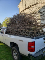 JUNK REMOVAL / MOVING / DEMO / HAULING