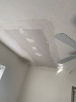 🏠🚨🏠🚨🏠HANDYMAN / PRESSURE WASHING / MOVING FURNITURE / PAINT CALL