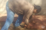 ππ¦$30/HR! MOVERS, MOVING LABOR, LANDSCAPERS, GENERAL LABOR, HANDYMEN