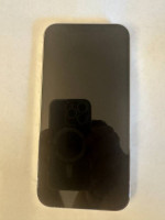 iPhone 12 Pro Max (Unlocked)