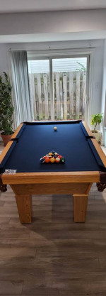 EXPERIENCED EXPERT POOL TABLE MOVING PROVIDER