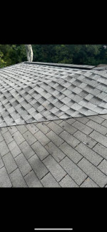 Roofing/ moving/Paint Job/ fence / other