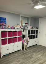 Professional Organizer - declutter - life coach- hoarder hoarding help- moving h