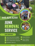 JUNK REMOVAL - DEMO - MOVING