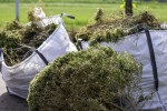 JUNK-TRASH REMOVAL⭐LAWN MOW❤️MOVING HELP⭐THERE 30 MIN 757-800-6390⭐PAT