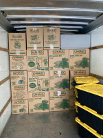 Moving Experts