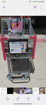 Professional Moving services loading and unloading