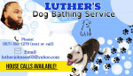 Hauling/moving. Dog Bathing
