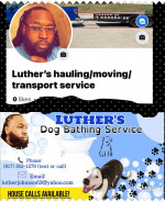 Hauling/moving. Dog Bathing