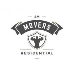 Professional Moving Help