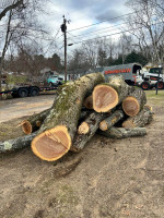 Driveway Grading, Stone, Skid Steer Work, Materials moving