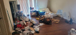 Lewis and sons junk removal-moving and delivery