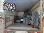 A DUDE AND HIS DOLLY Moving Special $69 Hour 2 Movers!