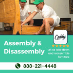 π¦π Quick & Reliable Moving Labor - Your Load/Unload Pros ππ¦
