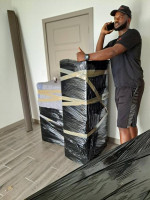 Wil-Workz Professional Labor Services-Moving