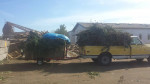 ALL YOUR STORM CLEANUP, LANDSCAPING, LABOR, MOVING, AND PROPERTY CLEANUP, DUMP R