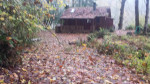 ALL YOUR STORM CLEANUP, LANDSCAPING, LABOR, MOVING, AND PROPERTY CLEANUP, DUMP R