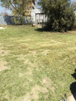 Affordable Trash Hauling, Yard Clean Up, Moving, Trailer Rental..