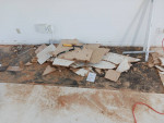 Handyman/Moving assistance