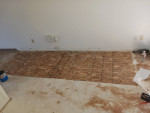 Handyman/Moving assistance