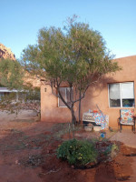 Moving loading, unloading, clean ups, junk removal, and more!!