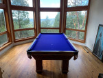 CENTURY BILLIARD SERVICE 🎱PRO POOL TABLE MOVING GAME ROOM REPAIRS!