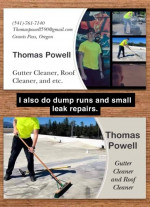 Handyman - Roofing, Gutters, Dump runs, Moving, Yard Work