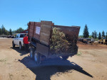 RJP-Pick up & Deliveries-Moving Help,Moving