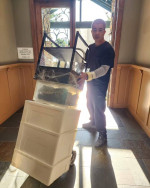 ALL Bay Area Moving Company πππ