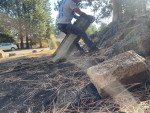 Junk removal, moving, cleaning,heavy lifting,trash,evictions,recycling,etc!