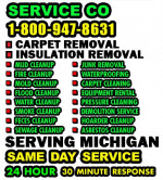 INSULATION REMOVING SERVICE___FECES REMOVAL__REPLACEMENT +INSTALLATION