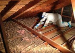 INSULATION REMOVING SERVICE___FECES REMOVAL__REPLACEMENT +INSTALLATION