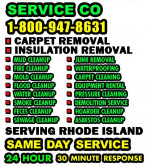 INSULATION +CARPET +FECES +JUNK REMOVAL___BASEMENT FLOOD MOLD CLEAN UP