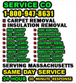 INSULATION +CARPET +FECES +JUNK REMOVAL___BASEMENT FLOOD MOLD CLEAN UP