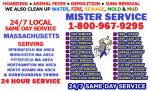 BASEMENT ATTIC GARAGE CLEAN UP===HOARDING + FECES +JUNK +WATER REMOVAL