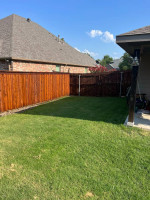 Fence Staining Experts