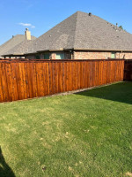 Fence Staining Experts