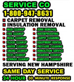 INSULATION +CARPET +FECES +JUNK REMOVAL___BASEMENT FLOOD MOLD CLEAN UP